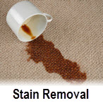 Carpet Cleaning Middlesex : 